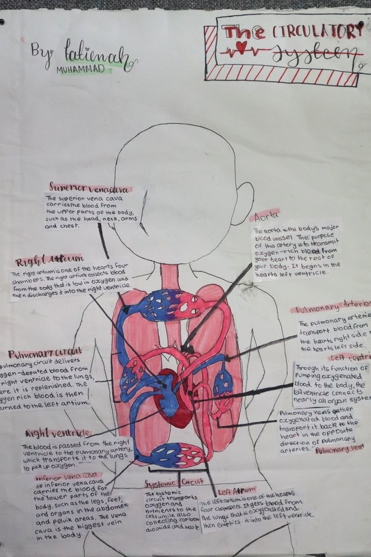 Secondary Exhibition: A Journey Through Knowledge