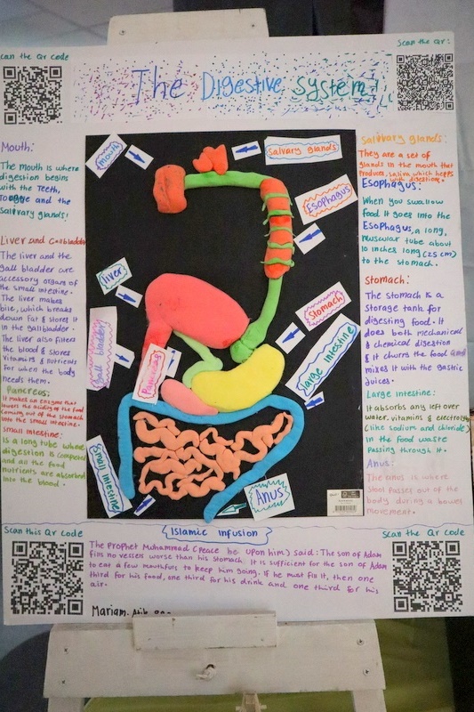 Secondary Exhibition: A Journey Through Knowledge