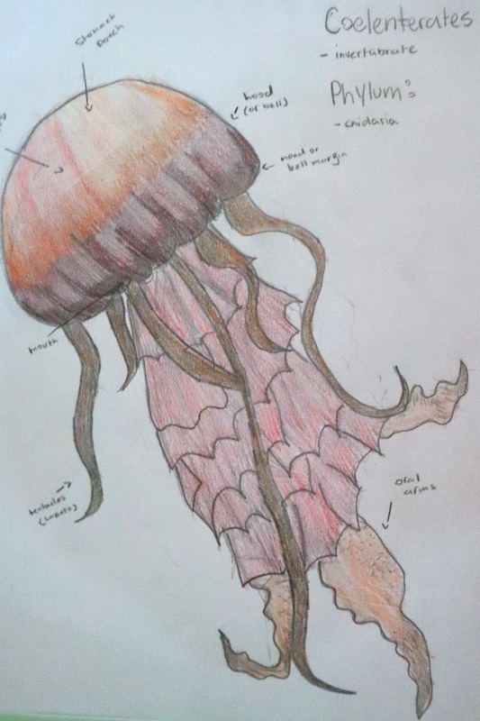 Secondary Exhibition: A Journey Through Knowledge