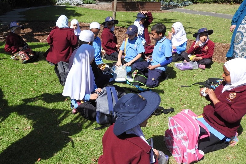 Year 3 Excursion: Royal Botanical Gardens