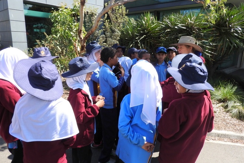 Year 3 Excursion: Royal Botanical Gardens