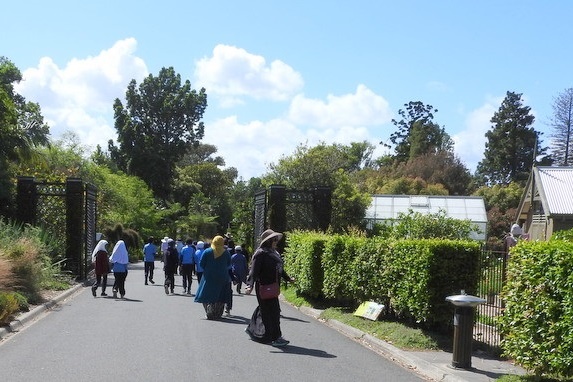 Year 3 Excursion: Royal Botanical Gardens