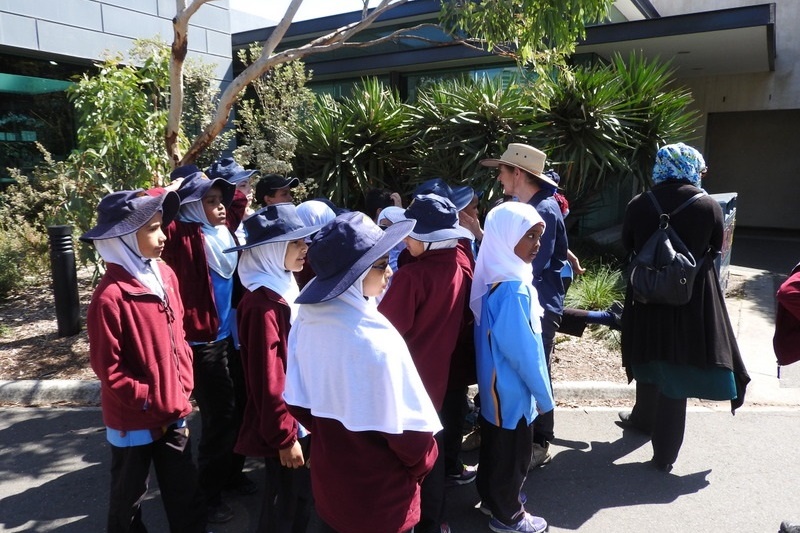 Year 3 Excursion: Royal Botanical Gardens