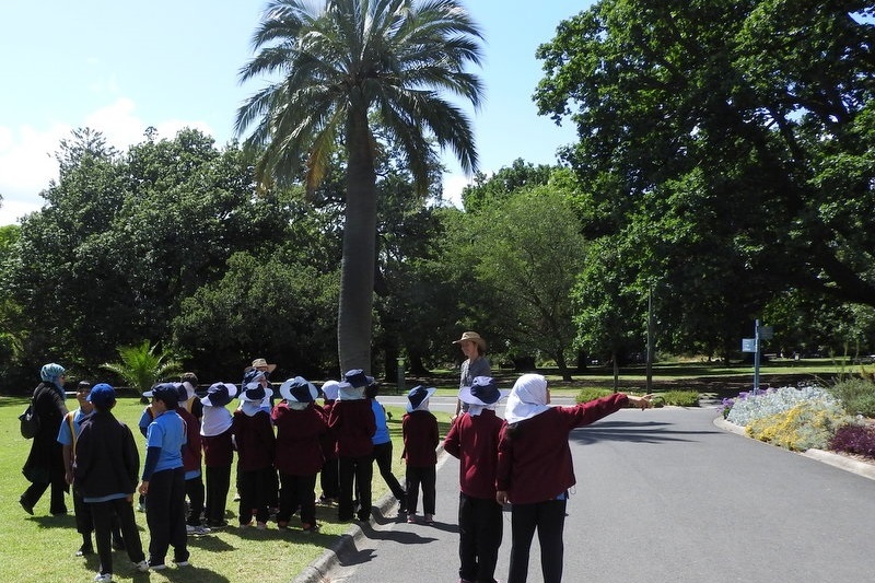 Year 3 Excursion: Royal Botanical Gardens