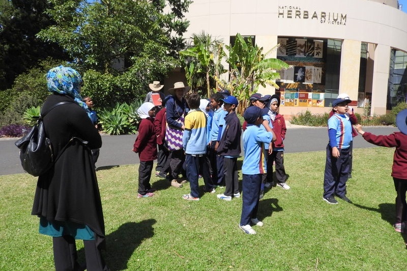 Year 3 Excursion: Royal Botanical Gardens