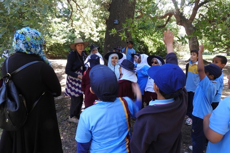 Year 3 Excursion: Royal Botanical Gardens