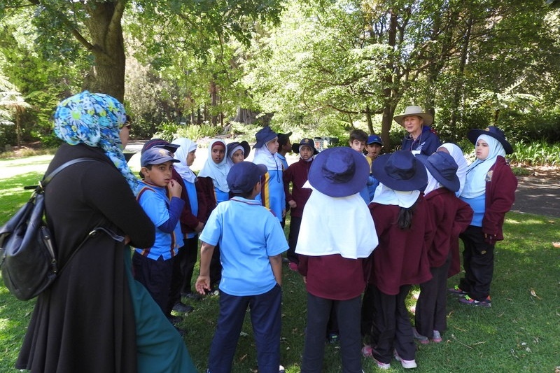 Year 3 Excursion: Royal Botanical Gardens