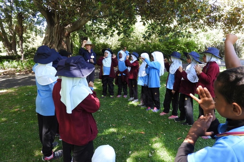 Year 3 Excursion: Royal Botanical Gardens