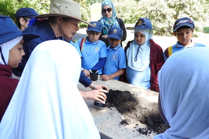 Year 3 Excursion: Royal Botanical Gardens