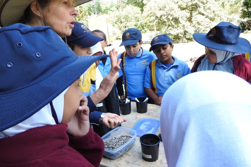 Year 3 Excursion: Royal Botanical Gardens