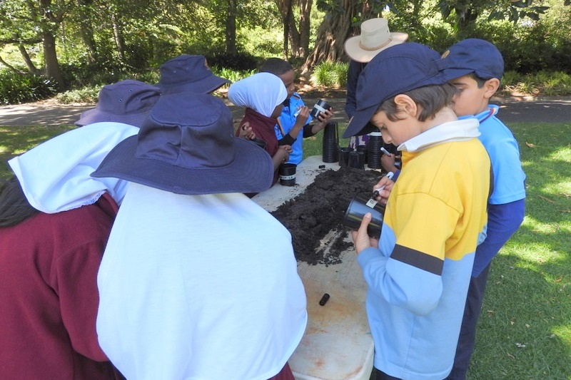 Year 3 Excursion: Royal Botanical Gardens