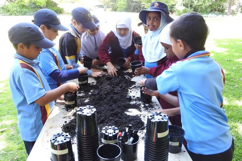 Year 3 Excursion: Royal Botanical Gardens