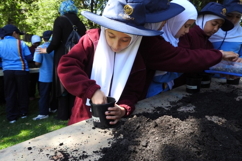 Year 3 Excursion: Royal Botanical Gardens