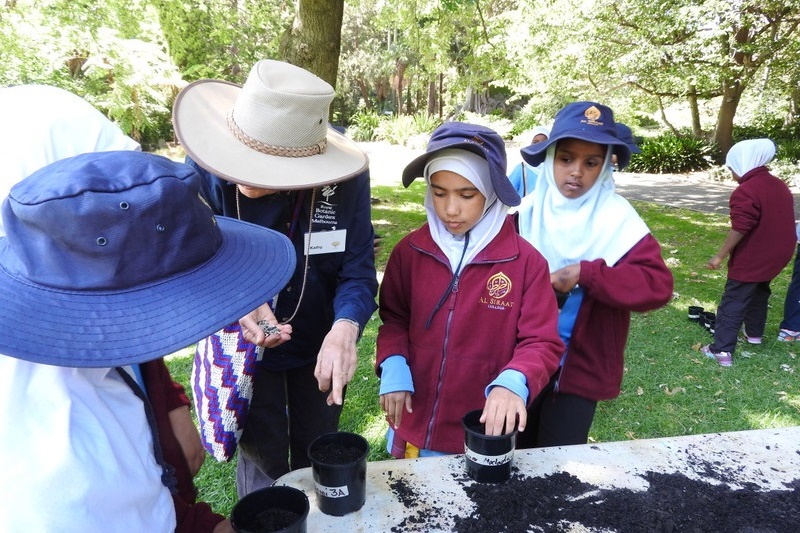 Year 3 Excursion: Royal Botanical Gardens