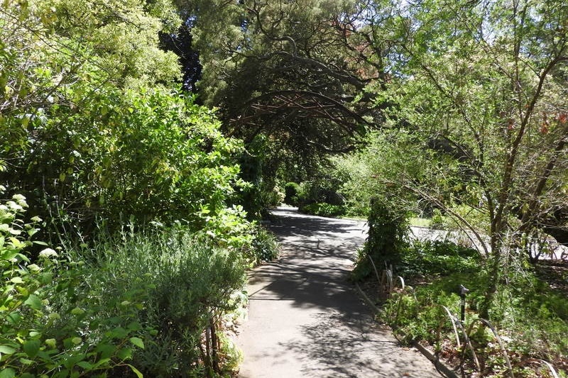 Year 3 Excursion: Royal Botanical Gardens