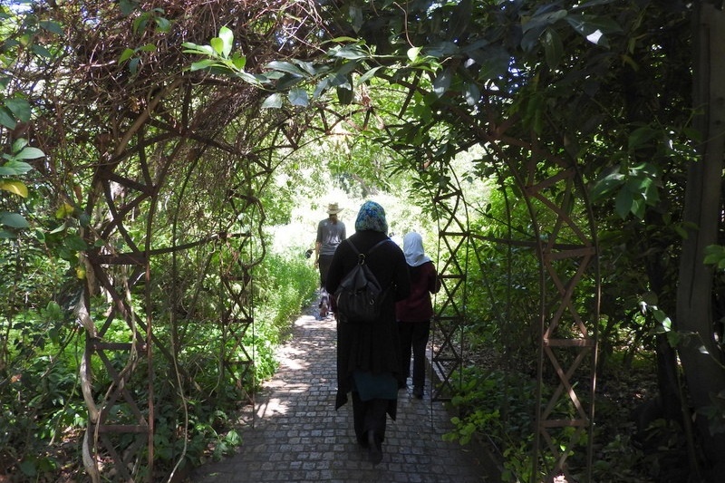 Year 3 Excursion: Royal Botanical Gardens