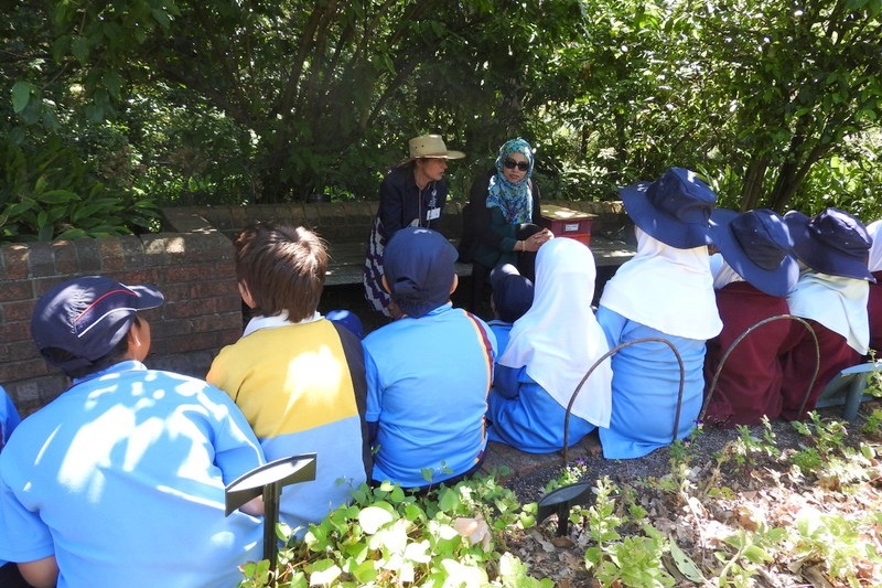 Year 3 Excursion: Royal Botanical Gardens