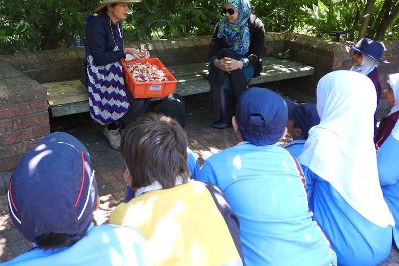 Year 3 Excursion: Royal Botanical Gardens