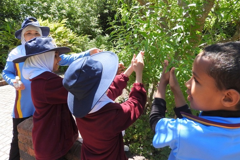 Year 3 Excursion: Royal Botanical Gardens