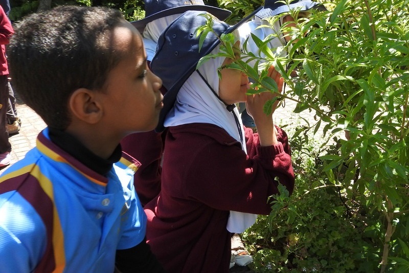 Year 3 Excursion: Royal Botanical Gardens