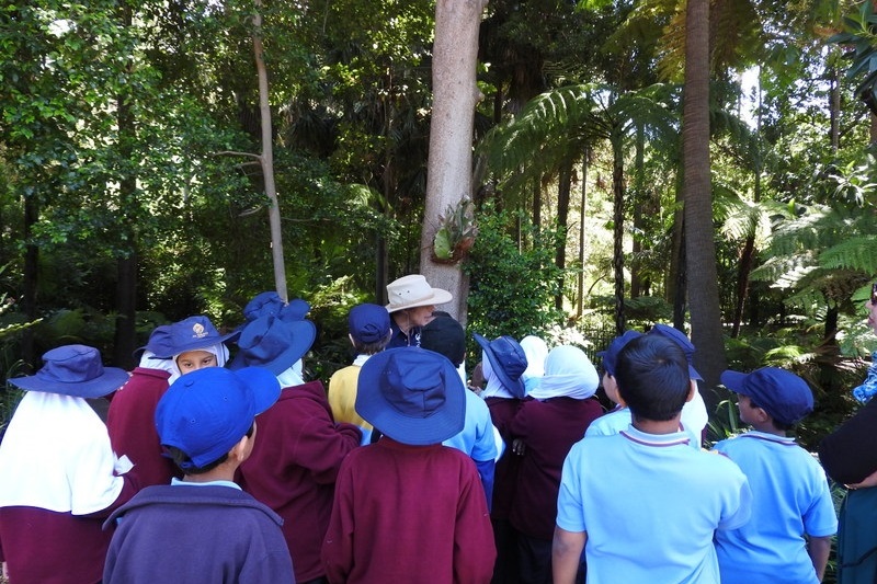 Year 3 Excursion: Royal Botanical Gardens