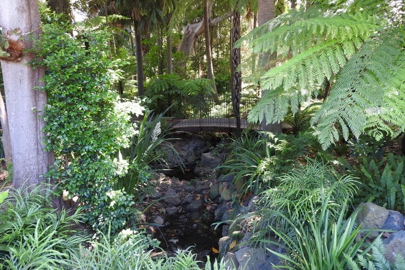 Year 3 Excursion: Royal Botanical Gardens