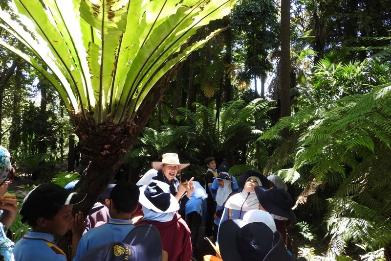 Year 3 Excursion: Royal Botanical Gardens