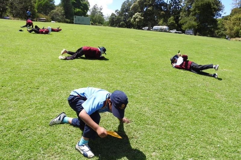 Year 3 Excursion: Royal Botanical Gardens