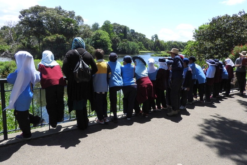 Year 3 Excursion: Royal Botanical Gardens