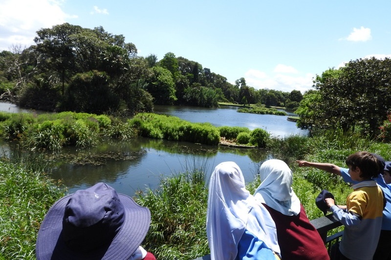 Year 3 Excursion: Royal Botanical Gardens