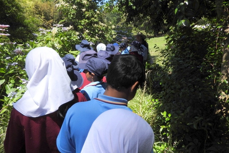 Year 3 Excursion: Royal Botanical Gardens