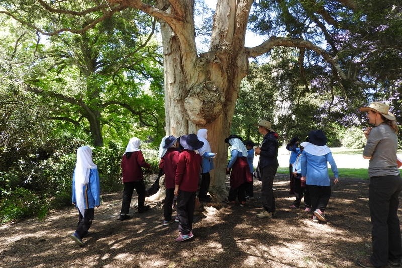 Year 3 Excursion: Royal Botanical Gardens