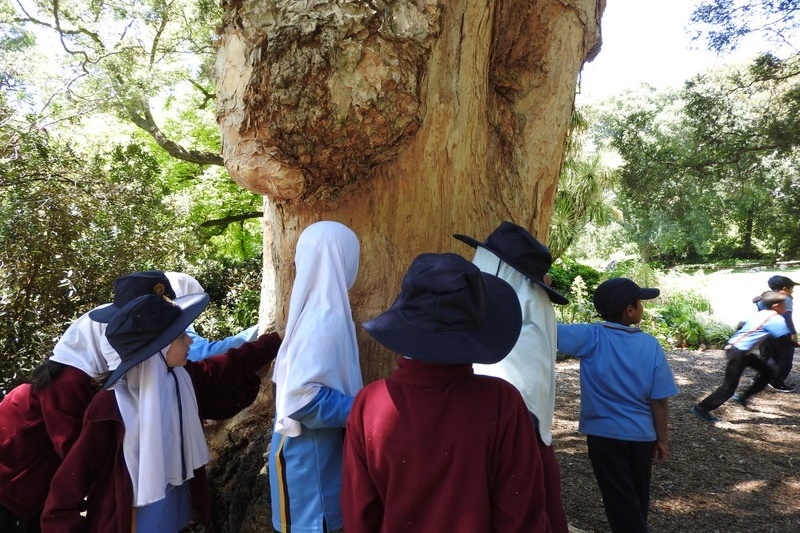 Year 3 Excursion: Royal Botanical Gardens