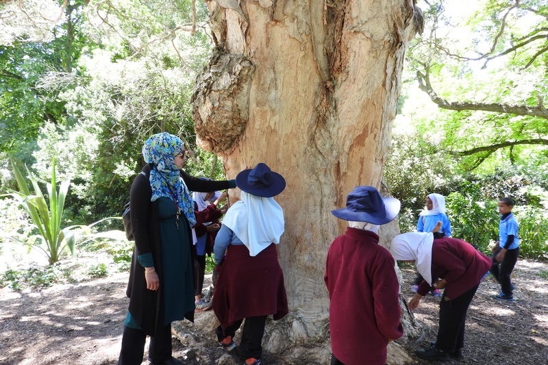 Year 3 Excursion: Royal Botanical Gardens