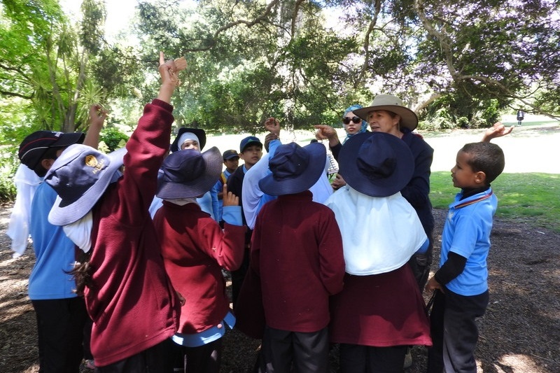 Year 3 Excursion: Royal Botanical Gardens