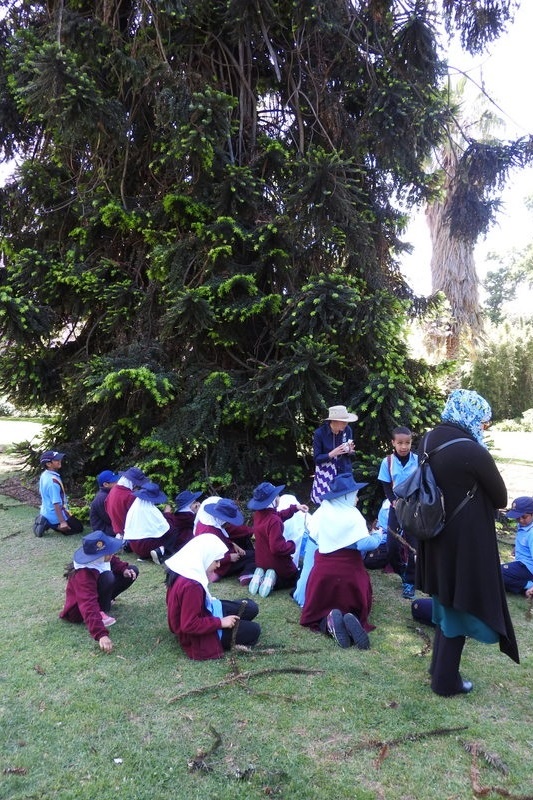 Year 3 Excursion: Royal Botanical Gardens