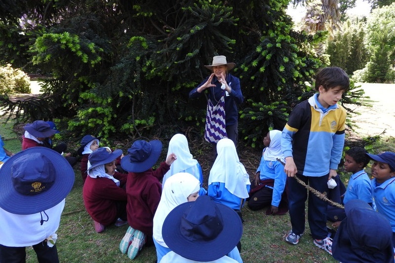 Year 3 Excursion: Royal Botanical Gardens