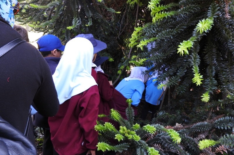 Year 3 Excursion: Royal Botanical Gardens