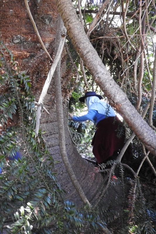 Year 3 Excursion: Royal Botanical Gardens