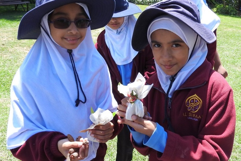 Year 3 Excursion: Royal Botanical Gardens