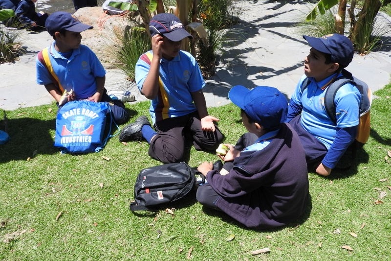 Year 3 Excursion: Royal Botanical Gardens