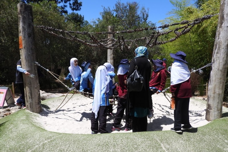 Year 3 Excursion: Royal Botanical Gardens