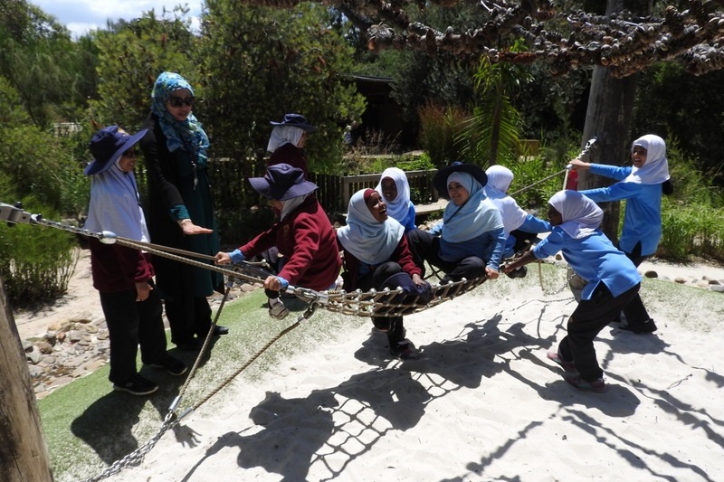 Year 3 Excursion: Royal Botanical Gardens