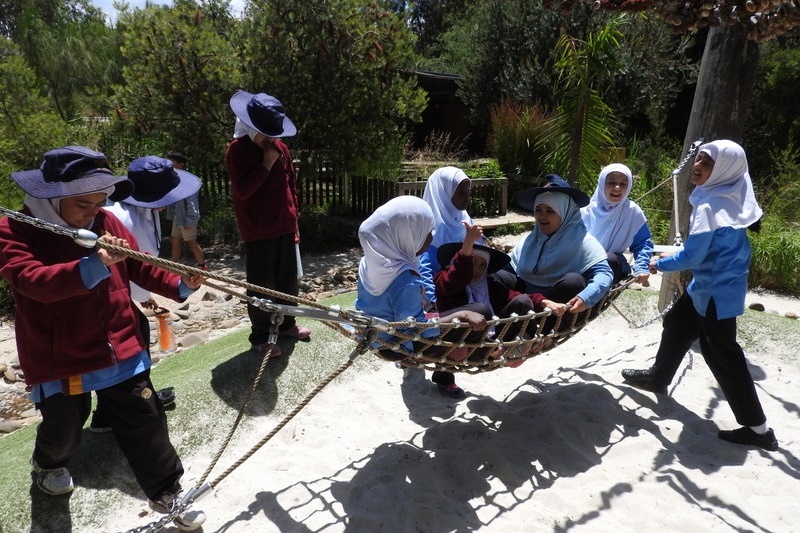 Year 3 Excursion: Royal Botanical Gardens