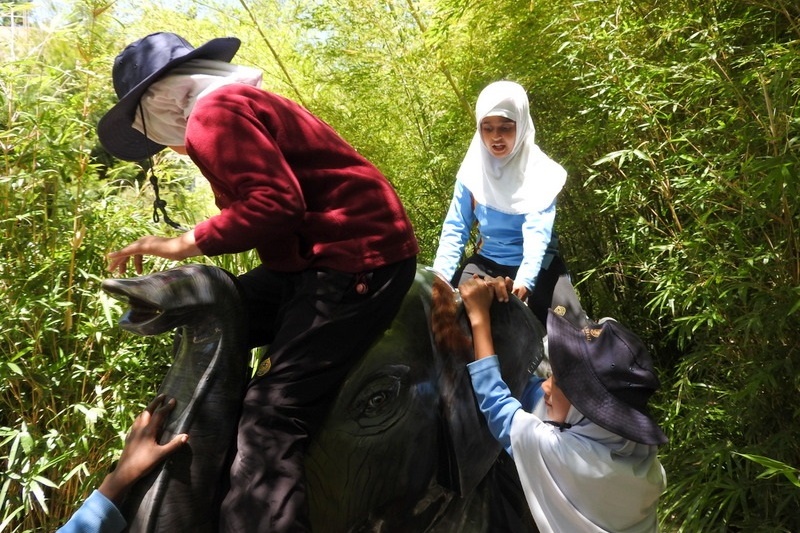 Year 3 Excursion: Royal Botanical Gardens