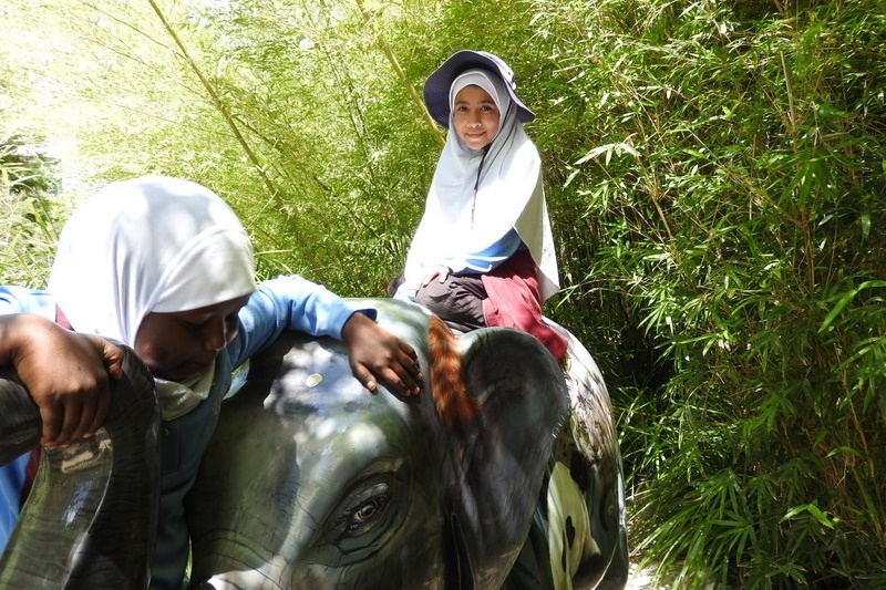 Year 3 Excursion: Royal Botanical Gardens