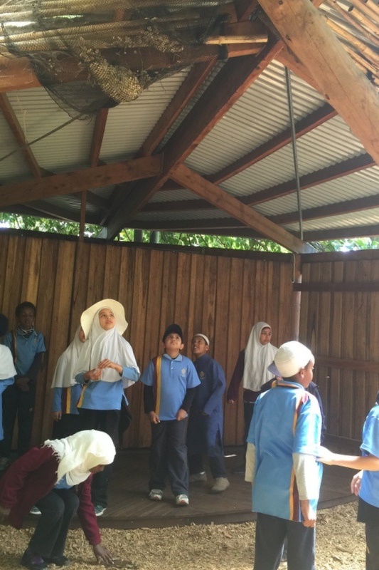 Year 3 Excursion: Royal Botanical Gardens