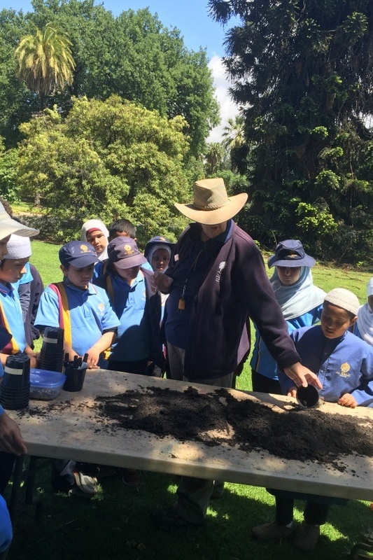 Year 3 Excursion: Royal Botanical Gardens