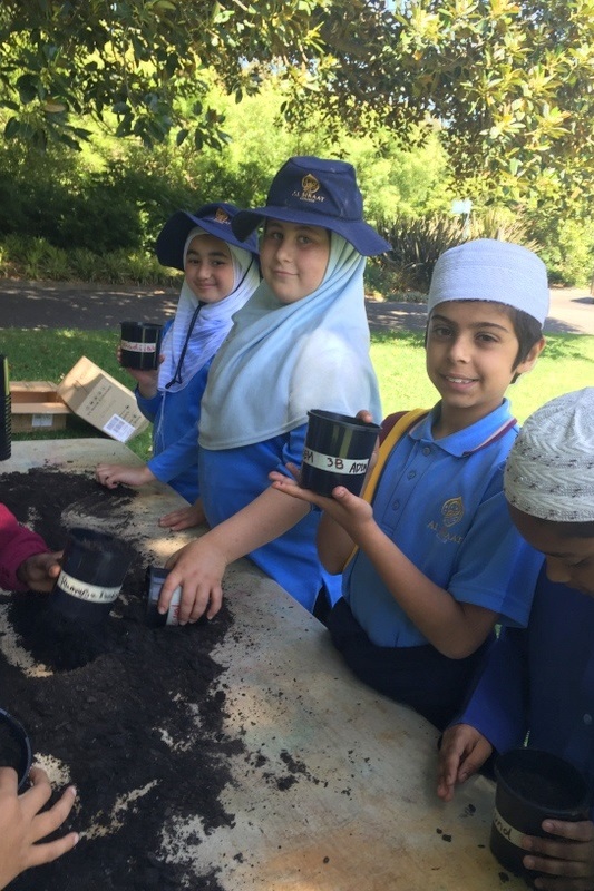 Year 3 Excursion: Royal Botanical Gardens