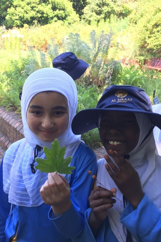 Year 3 Excursion: Royal Botanical Gardens